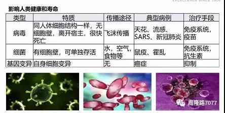郴州市維達(dá)金屬設(shè)備廠,不銹鋼制管機(jī),不銹鋼工業(yè)管制管機(jī),汽車排氣管制管機(jī),不銹鋼飲用水管制管機(jī),熱交換管制管機(jī),精密焊管制管機(jī),